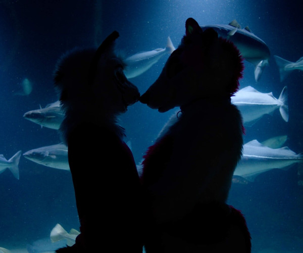 Photo: A Furry Tale