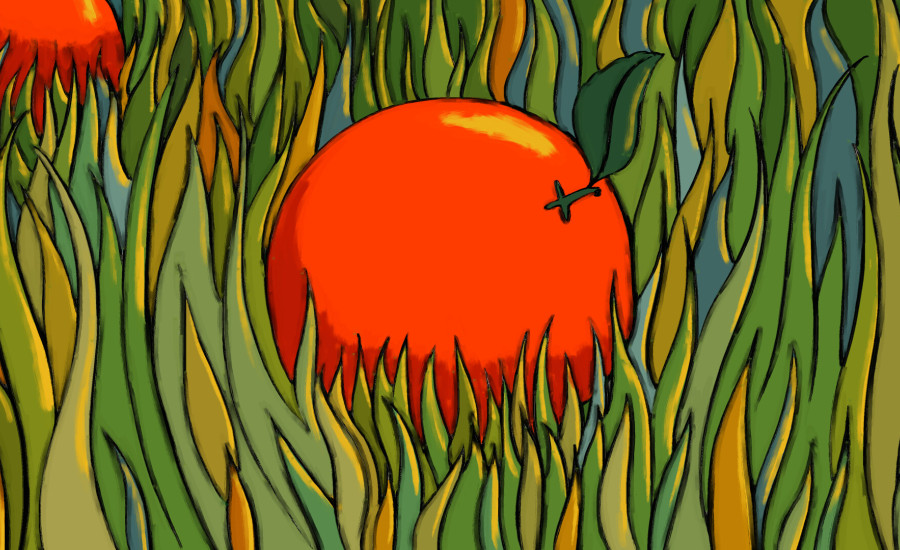 The Eating of an Orange