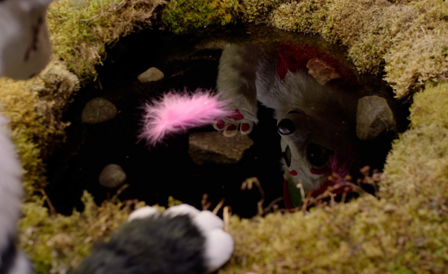 A Furry Tale