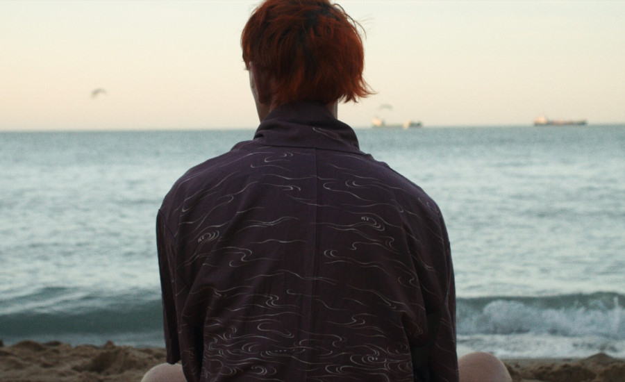 Howls to the Harbour