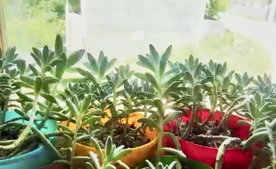 Mother is a Natural Sinner