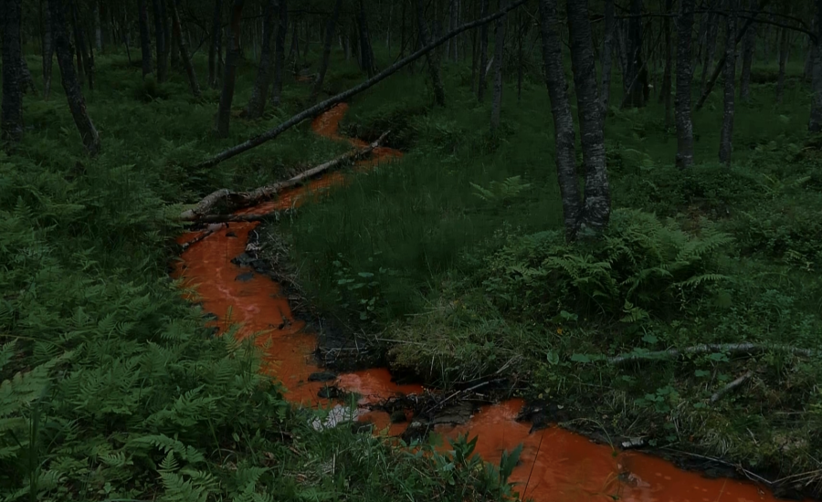 Life is a Two-Way Dream